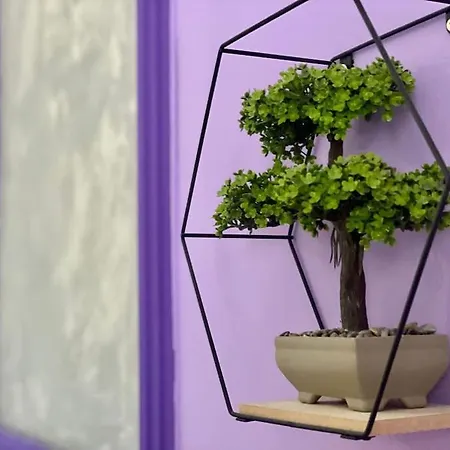 公寓 Purple Ultracentral Old Town *